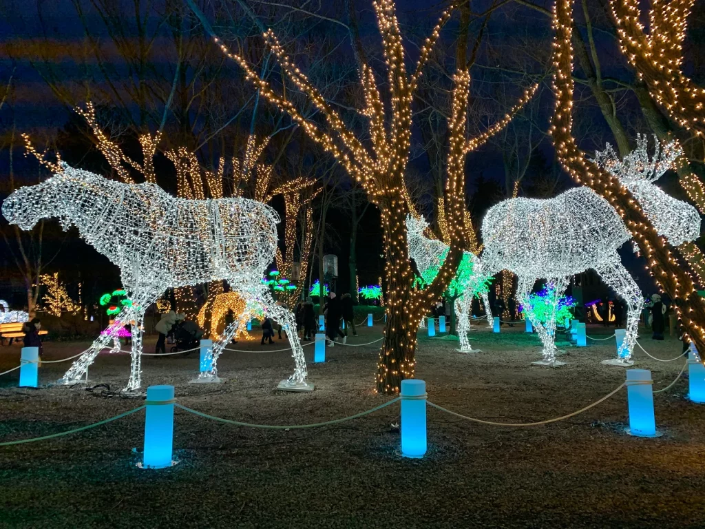 Aurora Winter Festival in Toronto