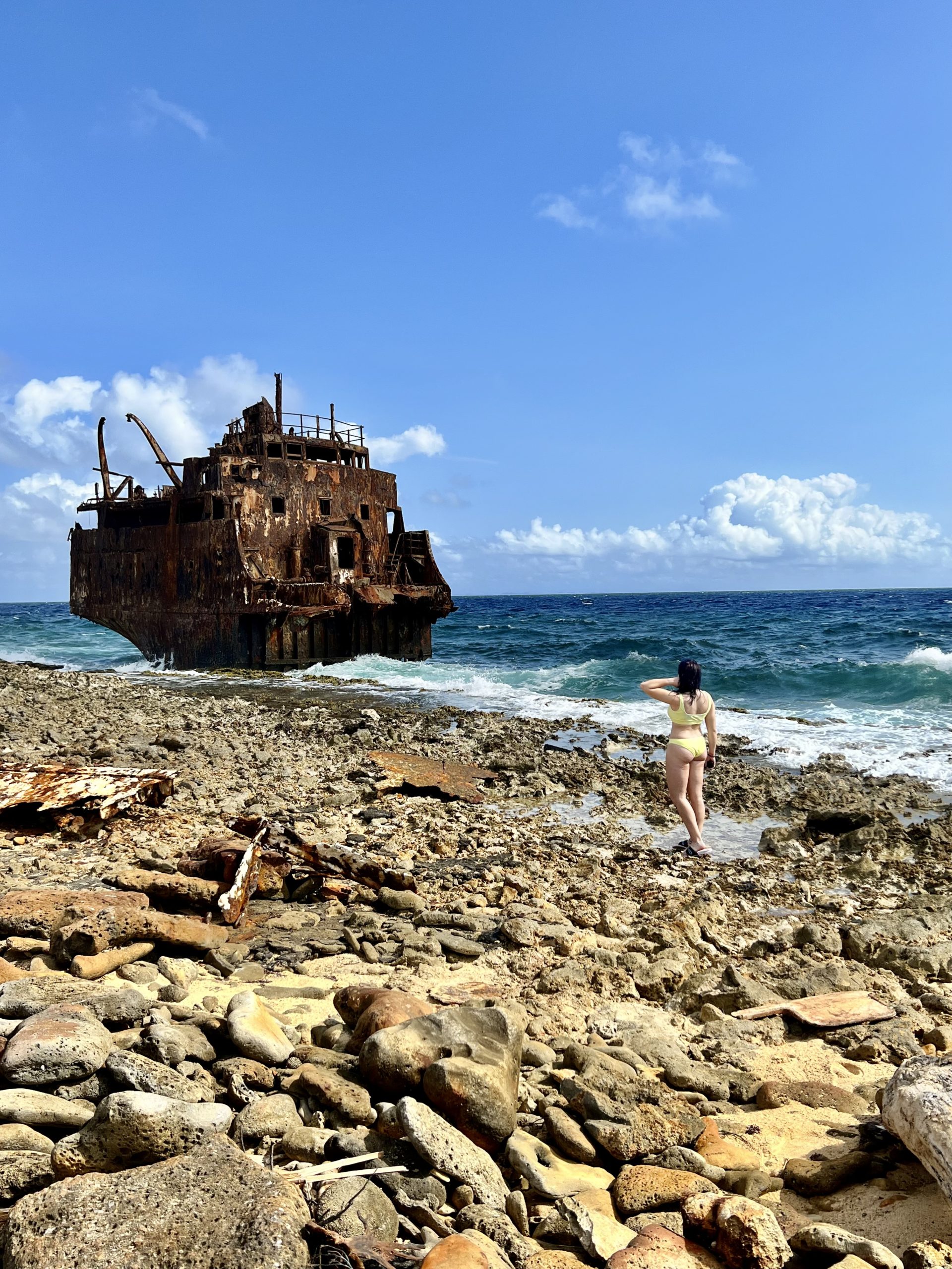 Curaçao, a captivating tropical paradise in the Caribbean, showcasing its vibrant charm and stunning natural beauty; complete travel guide to Curacao.