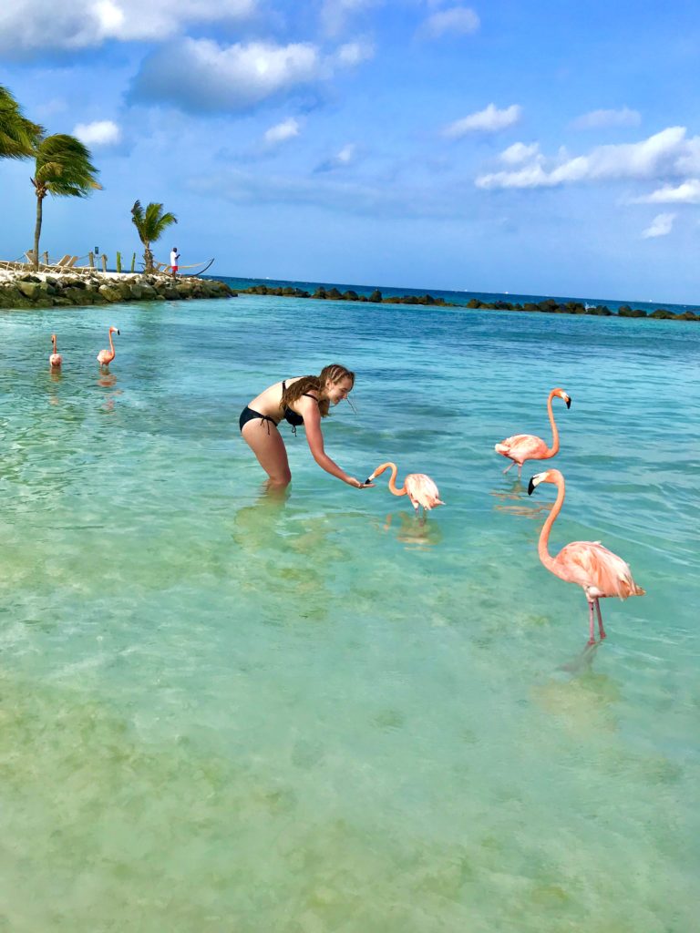 A Tropical Paradise for Beach Lovers, Flamingo Enthusiasts, and Unforgettable Vacation Memories; travel guide to Oranjestad.