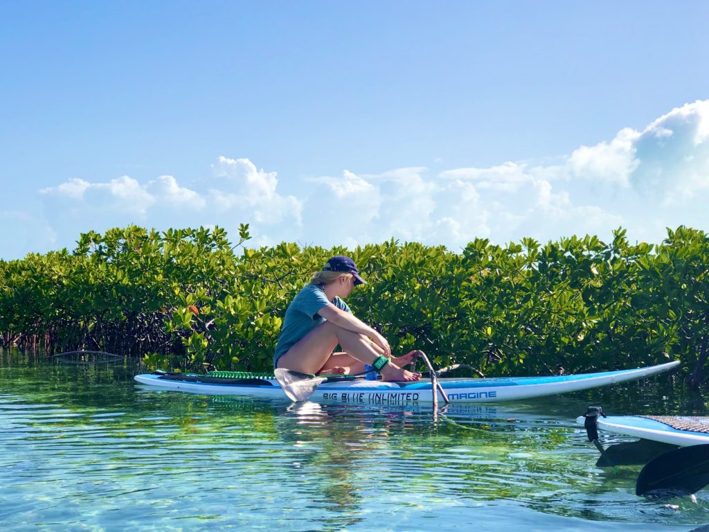 Turks and Caicos Islands, a tropical paradise with pristine beaches, crystal-clear turquoise waters, and luxurious resorts, offering the perfect getaway for sun-seeking travelers.