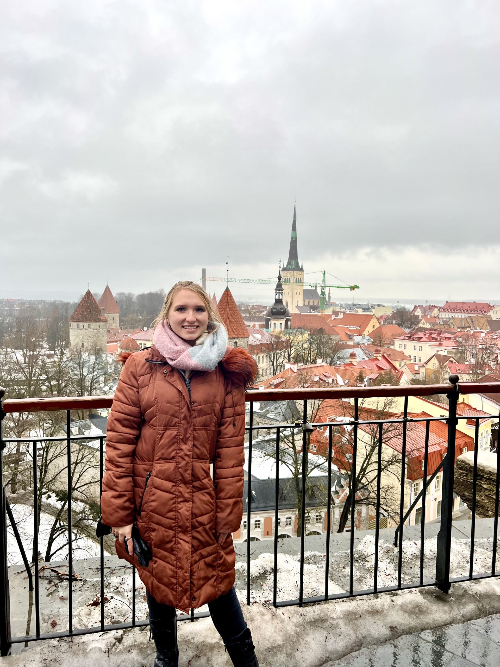 Scenic landscape of Estonia, showcasing the country's natural beauty and cultural heritage; travel guide to Tallinn.