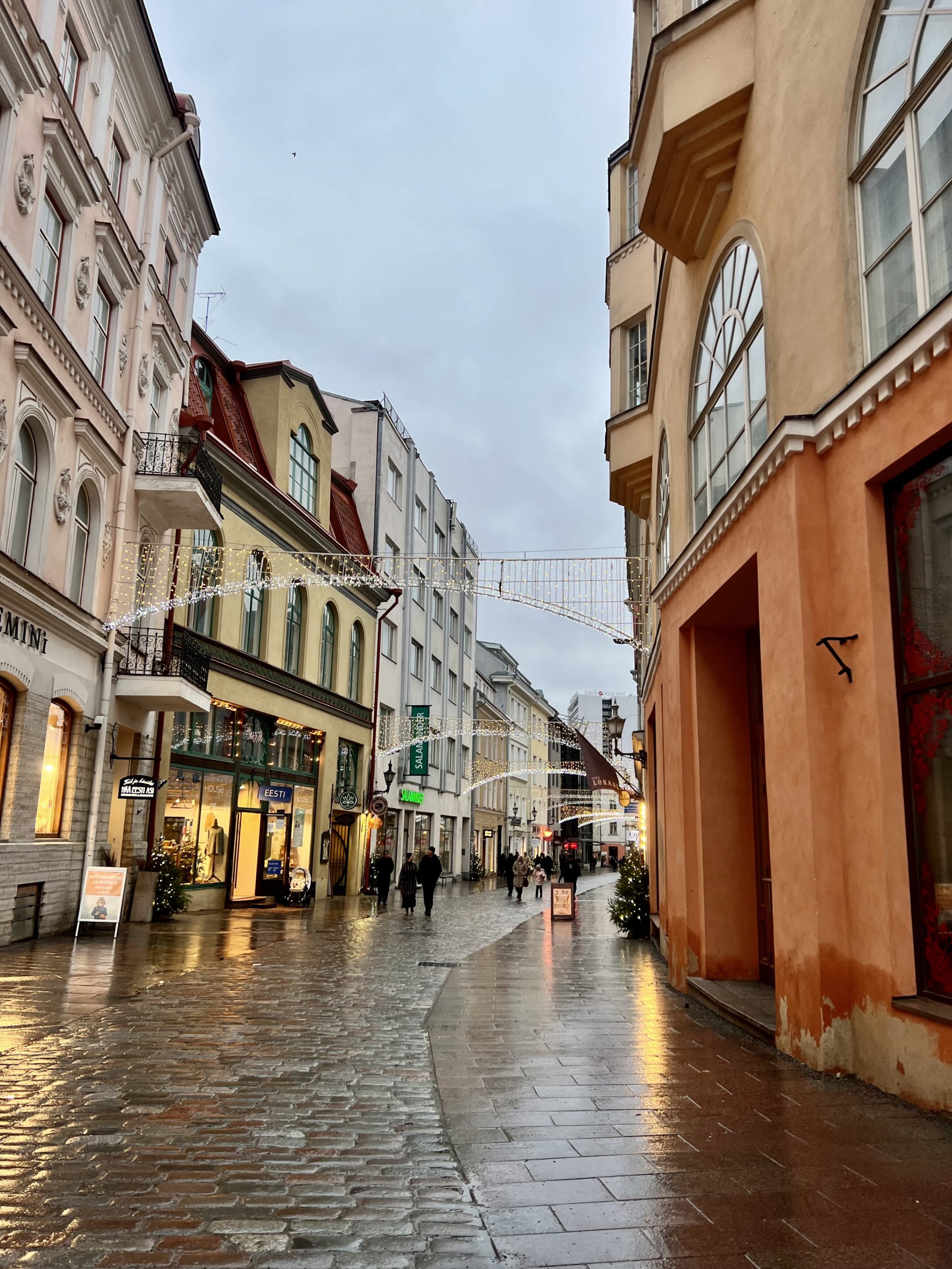 Scenic landscape of Estonia, showcasing the country's natural beauty and cultural heritage; travel guide to Estonia; travel guide to Tallinn.