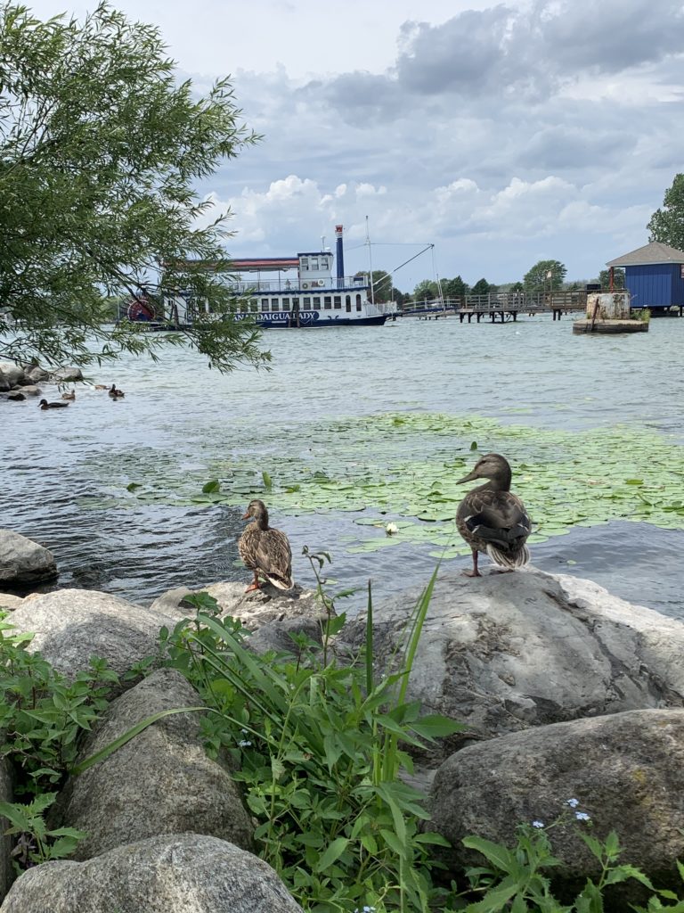 Discover the beauty and charm of Canandaigua with captivating photos showcasing its scenic landscapes, historic sites, and vibrant community; travel guide to Canandaigua.