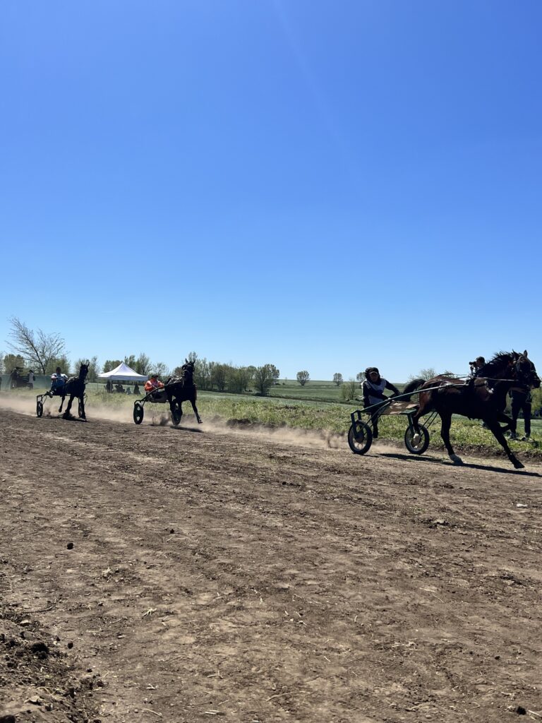 Horse Racing in Ceadir Lunga