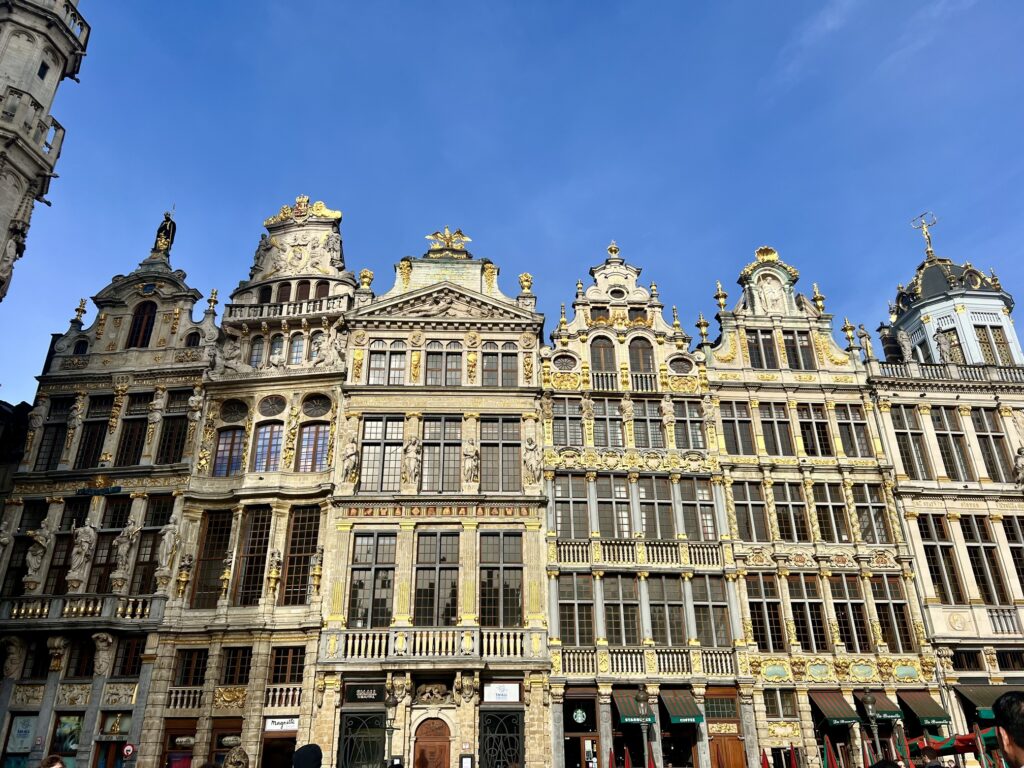 Enchanting view in Brussels, Belgium, with ornate medieval architecture and bustling activity, capturing the essence of Belgian heritage and culture; best places to visit in Belgium