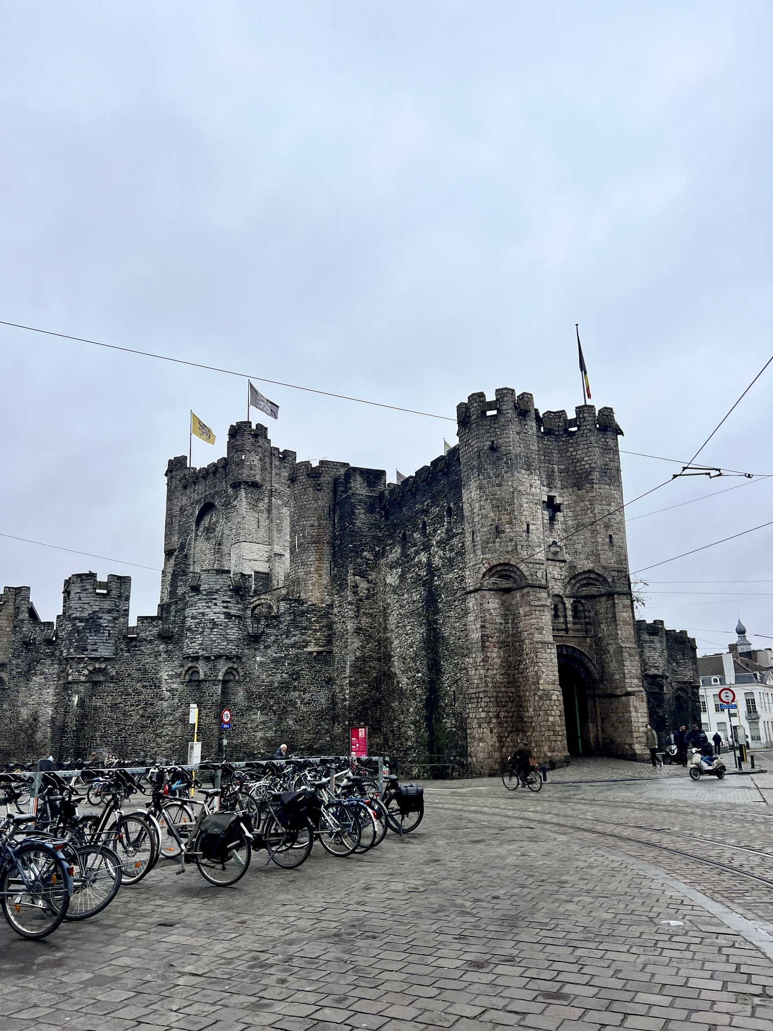 Enchanting view in Gent, Belgium, with ornate medieval architecture and bustling activity, capturing the essence of Belgian heritage and culture; travel guide to Ghent