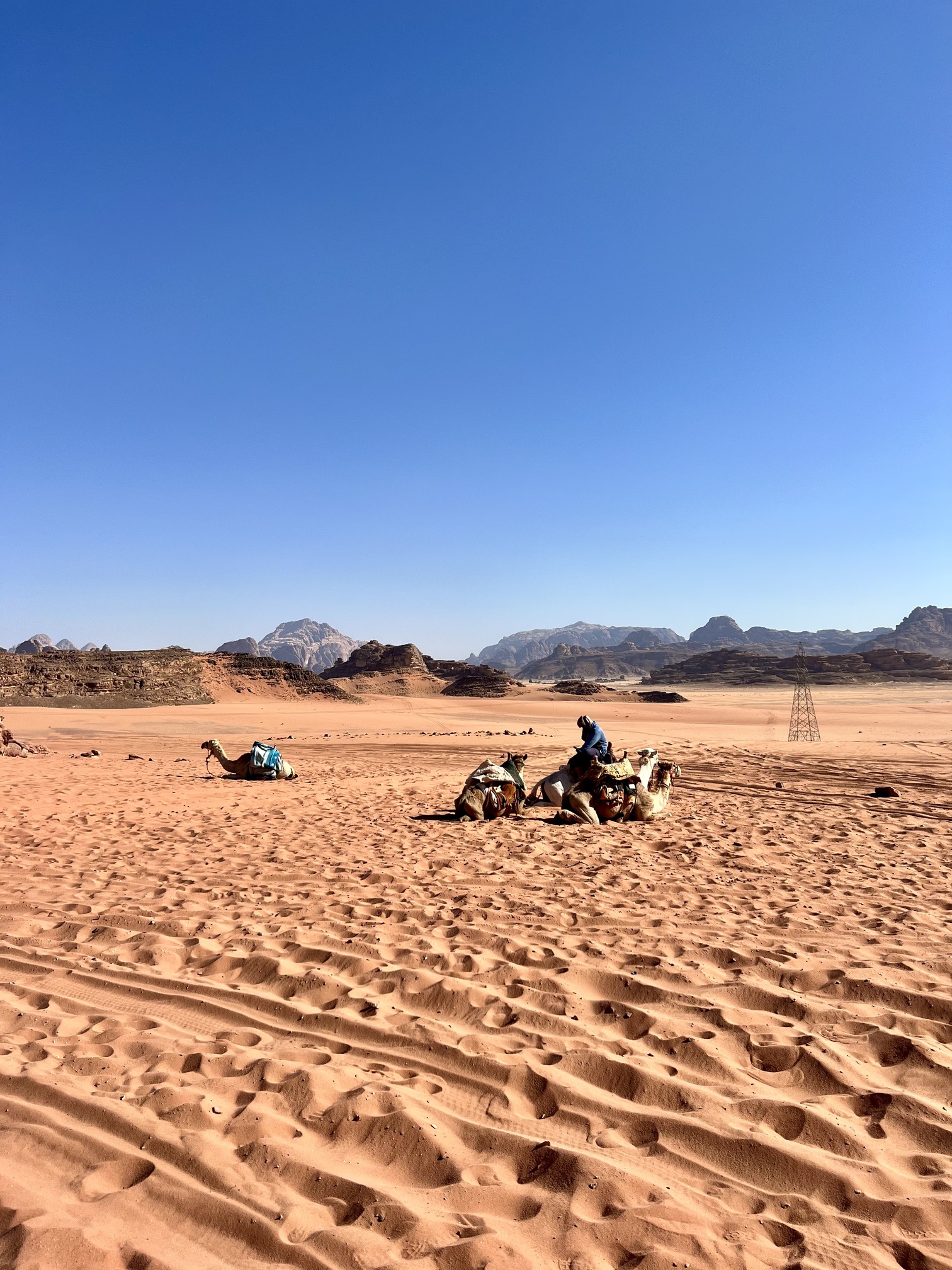 Beautiful landscape of Jordan featuring historic ruins, desert scenery, and unique rock formations. The image highlights Jordan's diverse attractions, including ancient cities, UNESCO World Heritage sites, and stunning natural beauty, making it a popular destination in the Middle East for travelers seeking cultural and outdoor adventures. Ultimate Travel Guide to Wadi Rum