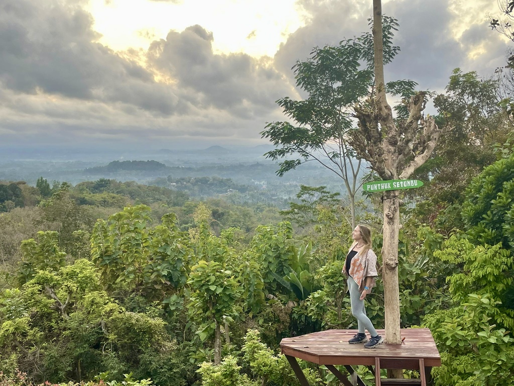 Scenic view of Indonesia featuring lush green rice terraces, a towering volcano in the distance, and vibrant tropical flora, showcasing the natural beauty and cultural richness of Southeast Asia's largest archipelago. Perfect for travel inspiration, adventure tourism, and exploring Indonesia's unique landscapes; travel guide to Yogyakarta