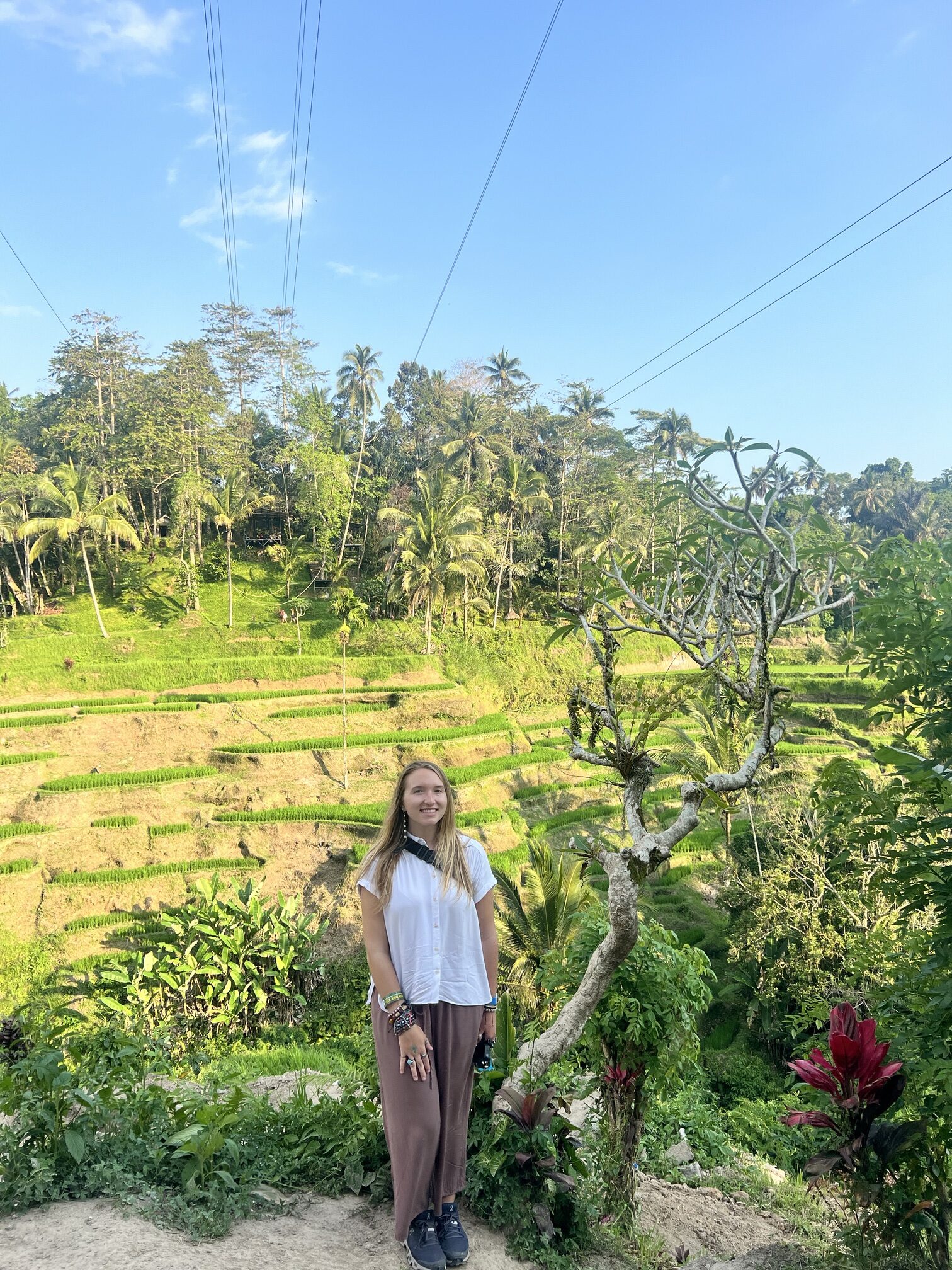 Scenic view of Indonesia featuring lush green rice terraces, a towering volcano in the distance, and vibrant tropical flora, showcasing the natural beauty and cultural richness of Southeast Asia's largest archipelago. Perfect for travel inspiration, adventure tourism, and exploring Indonesia's unique landscapes; travel guide to Ubud