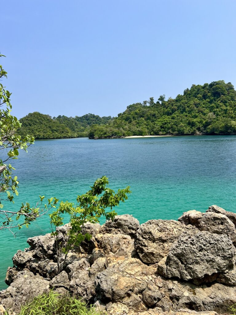 Scenic view of Indonesia featuring lush green rice terraces, a towering volcano in the distance, and vibrant tropical flora, showcasing the natural beauty and cultural richness of Southeast Asia's largest archipelago. Perfect for travel inspiration, adventure tourism, and exploring Indonesia's unique landscapes; ; Best Beaches to Visit in Malang