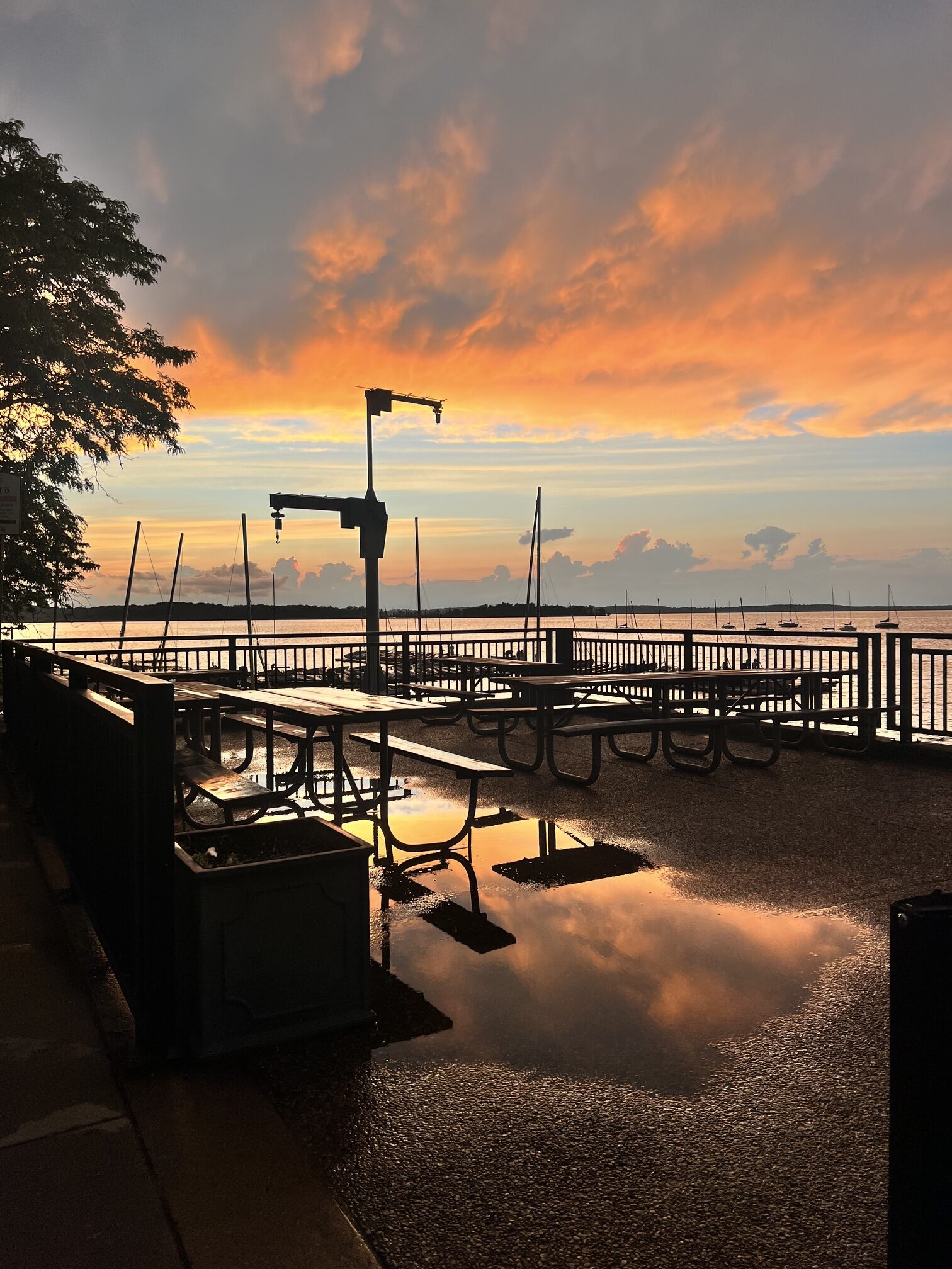 Scenic view of Madison, Wisconsin, featuring the iconic Wisconsin State Capitol, beautiful lakes, and vibrant downtown—perfect for travelers exploring Midwest destinations. #MadisonWI #WisconsinTravel #MidwestAdventures #ExploreMadison #TravelPhotography; travel guide to Madison