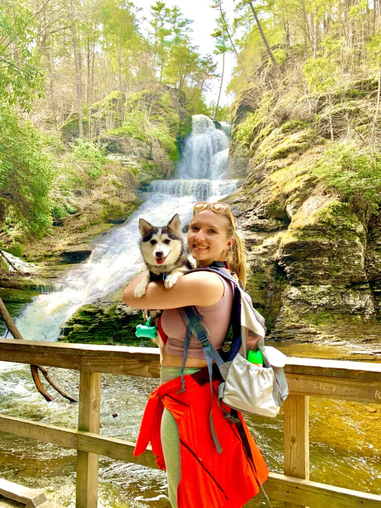 Scenic view of the Delaware Water Gap with lush green mountains, the Delaware River winding through the valley, and clear blue skies—capturing the natural beauty of this iconic outdoor destination on the Pennsylvania–New Jersey border; travel guide to the Delaware Water Gap