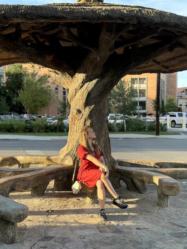 Scenic view of San Antonio River Walk in downtown San Antonio, Texas, featuring vibrant restaurants, historic architecture, and lush greenery — a top travel destination known for the Alamo, Tex-Mex cuisine, and cultural attractions; travel guide to Texas