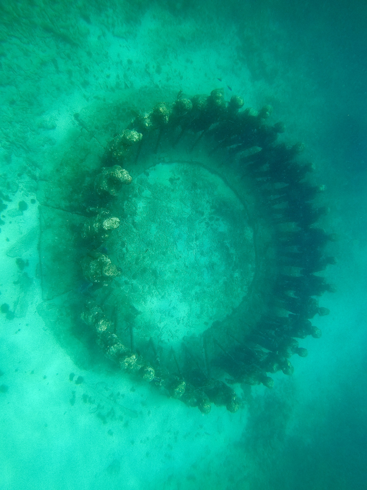 Diver swimming over the Underwater Sculpture Park in Molinière Bay, Grenada, with coral-encrusted figures on the sandy seabed