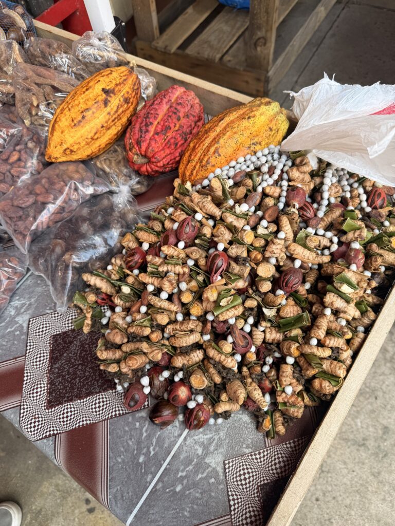 Fresh nutmeg fruit split open to reveal a bright red mace surrounding the seed, Grenada's famous spice island produce; What Souvenirs to Buy in Grenada