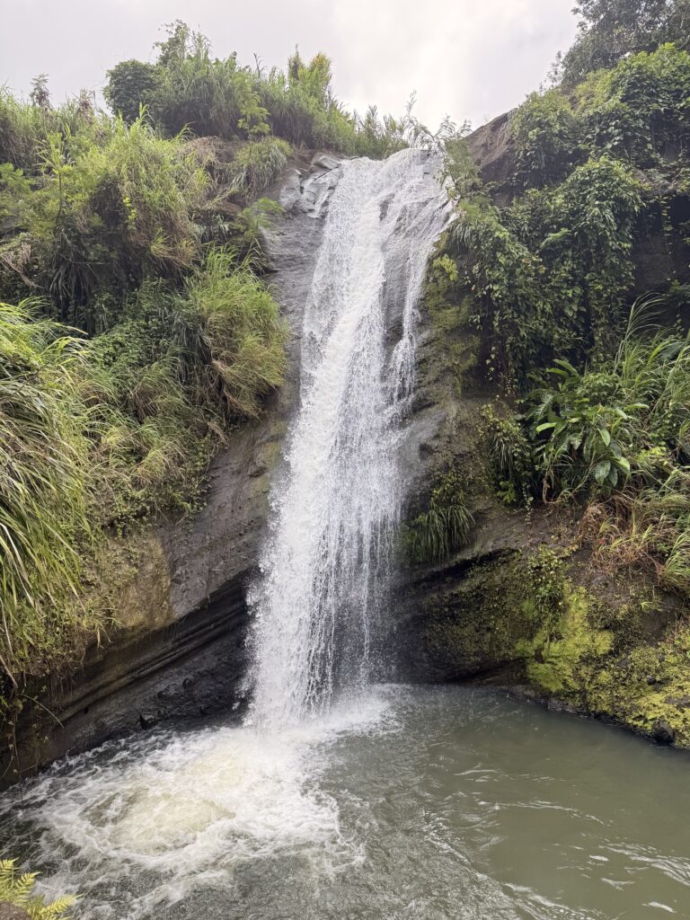 Annandale Falls cascading into a natural pool surrounded by tropical rainforest in Grenada's interior highlands; best places to visit in Grenada