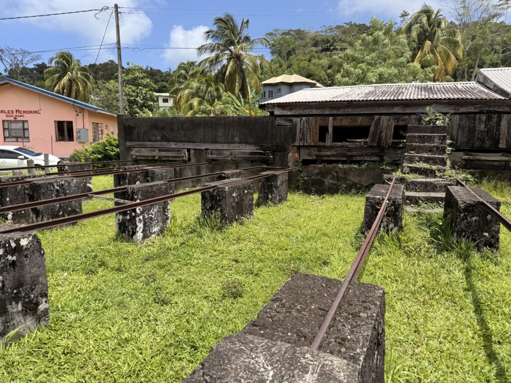 Fresh nutmeg fruit split open to reveal a bright red mace surrounding the seed, Grenada's famous spice island produce; best places to visit in Grenada