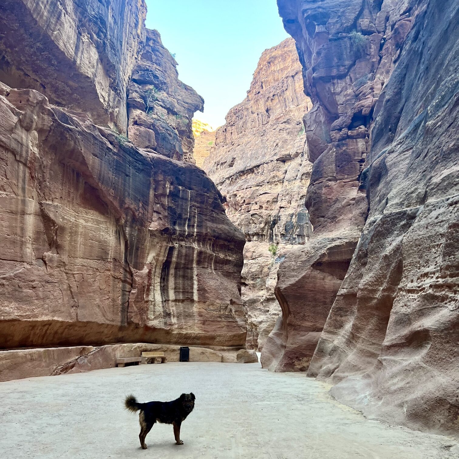 Beautiful landscape of Jordan featuring historic ruins, desert scenery, and unique rock formations. The image highlights Jordan's diverse attractions, including ancient cities, UNESCO World Heritage sites, and stunning natural beauty, making it a popular destination in the Middle East for travelers seeking cultural and outdoor adventures.