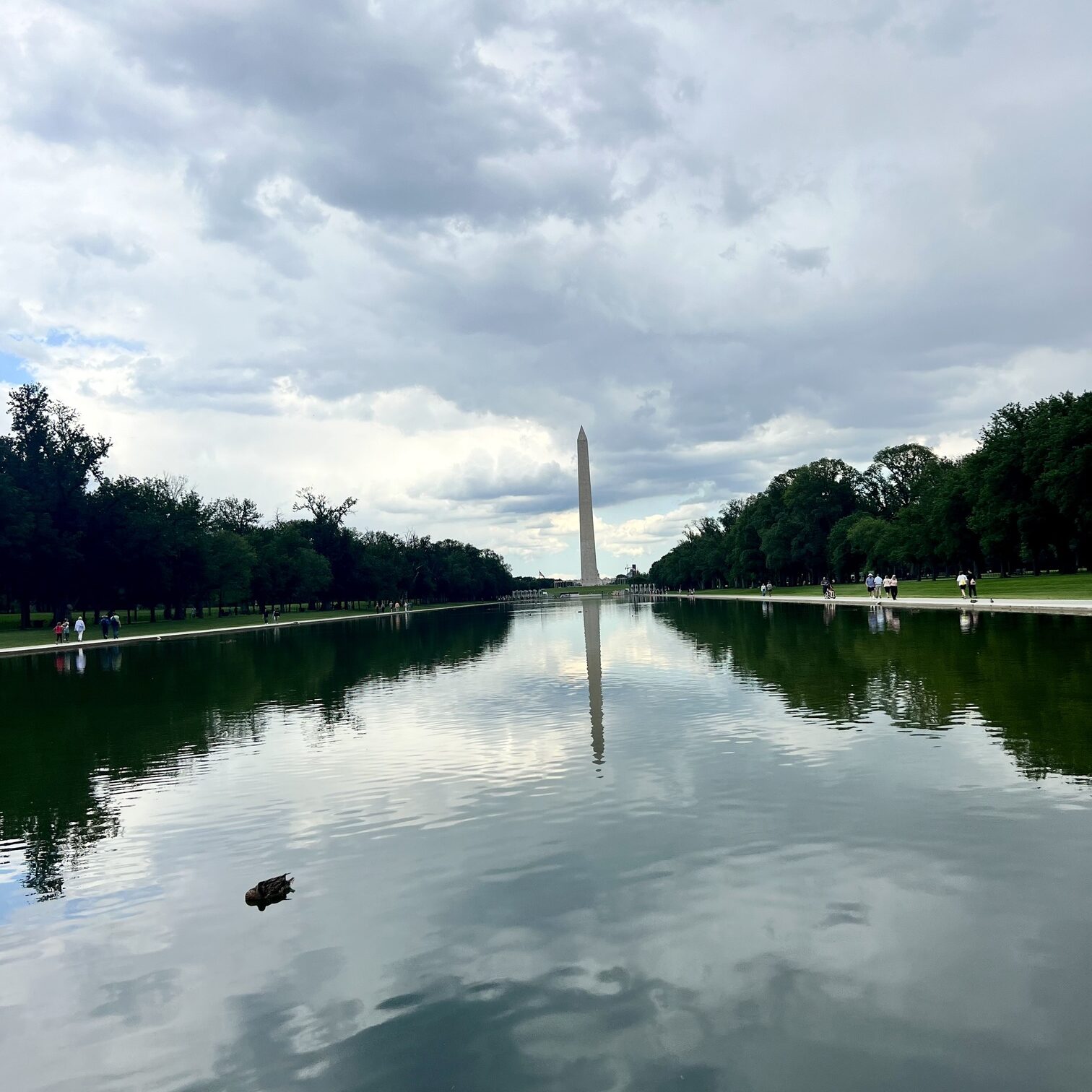 Scenic view of Washington, D.C., featuring the U.S. Capitol, Washington Monument, and cherry blossoms in full bloom. Explore iconic landmarks, historic museums, and cultural attractions in the nation's capital. Perfect for history buffs, political tourism, and travel photography.